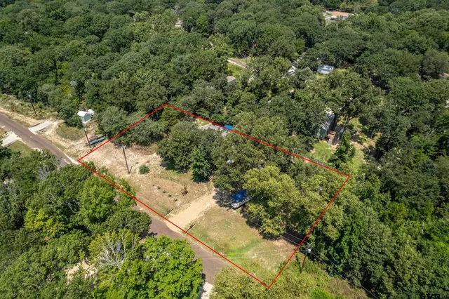 a view of a yard with plants