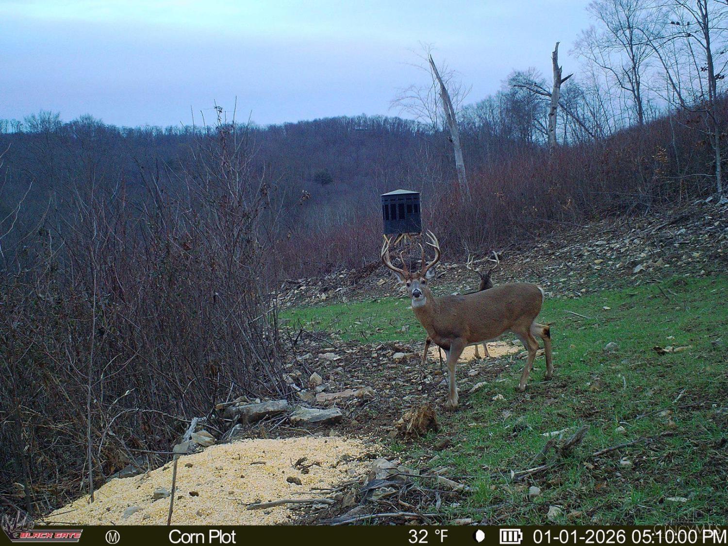 A Enley Road McDermott, OH 45652 - Photo 28 of 97
