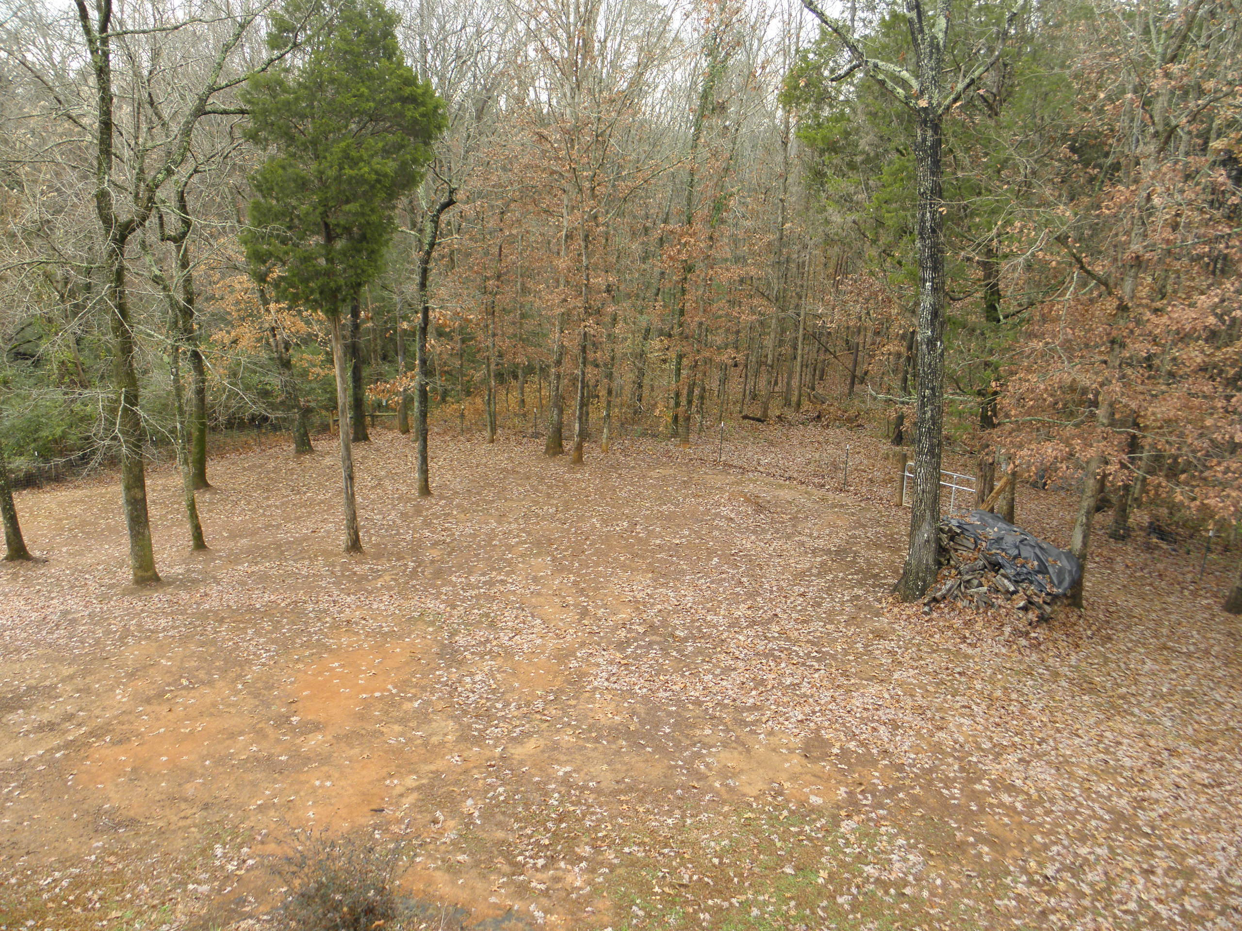 4843 Sinking Creek Road Greenback, TN 37742 - Photo 18 of 24 17 - views
