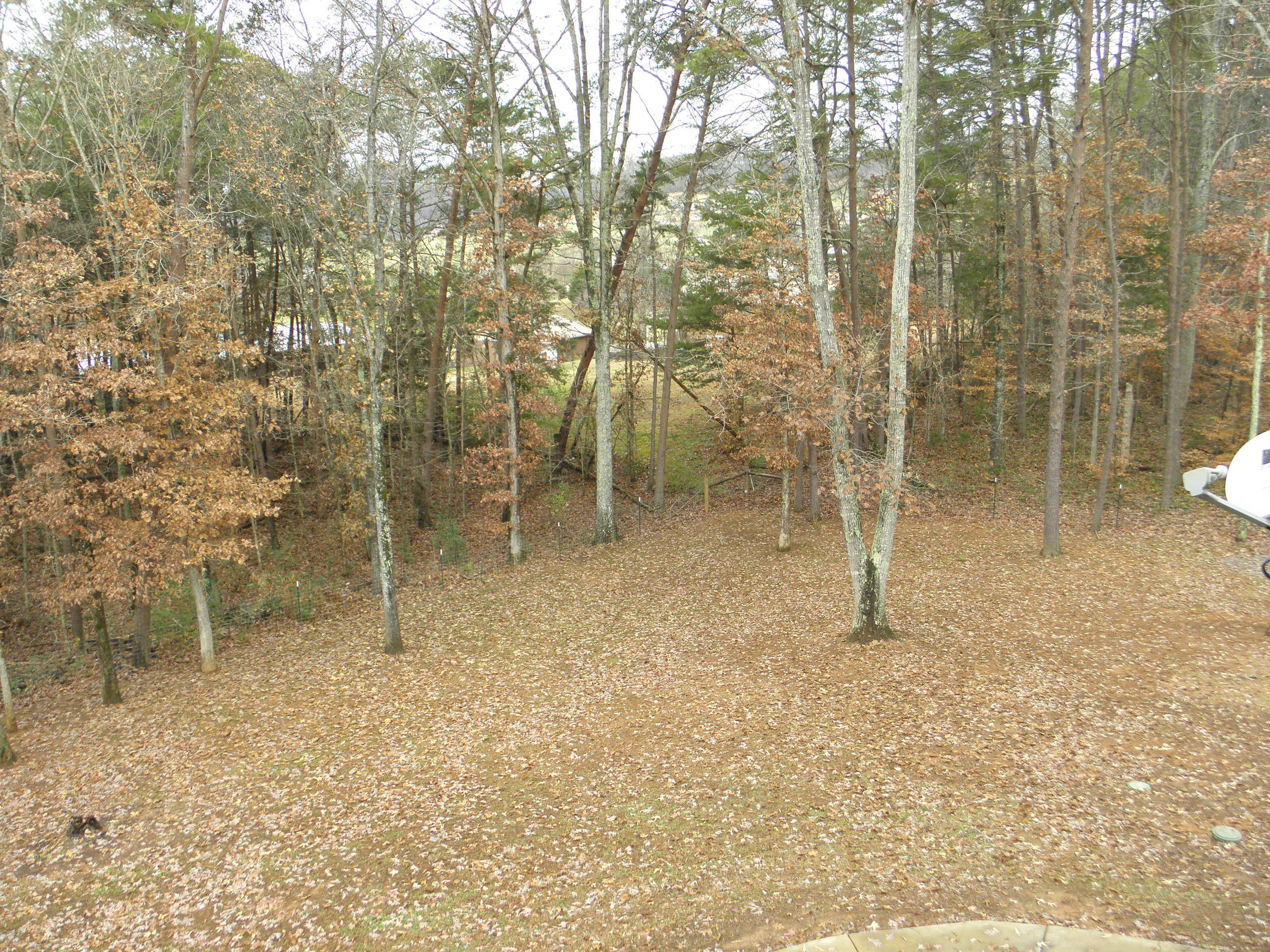 4843 Sinking Creek Road Greenback, TN 37742 - Photo 19 of 24 18 - views