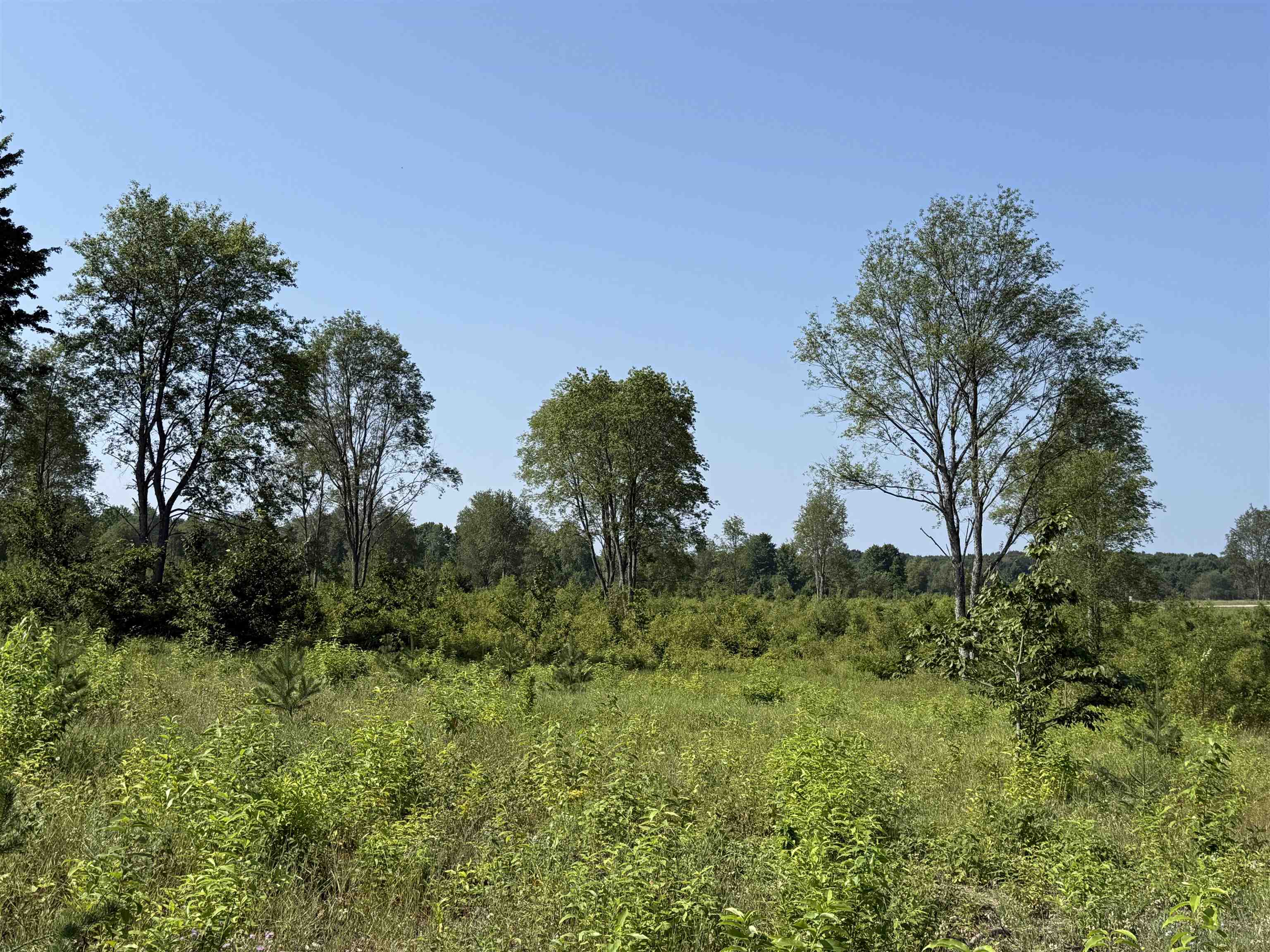 3 East Kasson Road, Unit LOT: A3 Maple City, MI 49664 - Photo 5 of 12