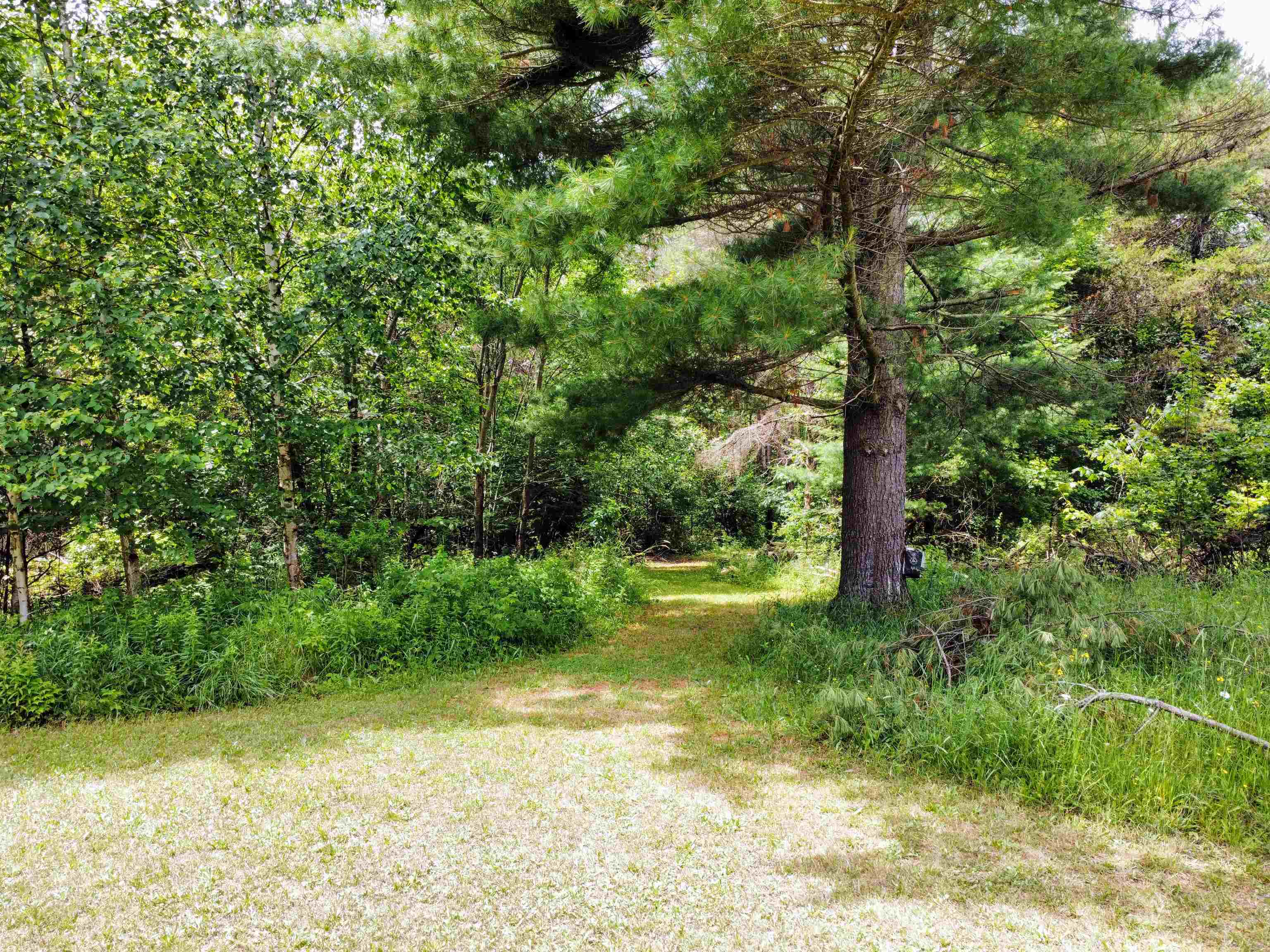 2776 Twin Lake Road Lupton, MI 48635 - Photo 16 of 55 1924115-2741b190-9a51-468f-93df-c17bc0b521b7.JPG