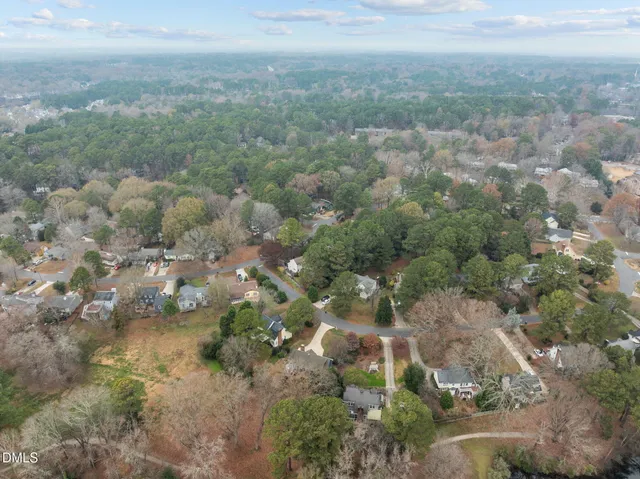 a view of a forest with a forest