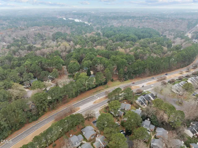 a view of a yard with a plant