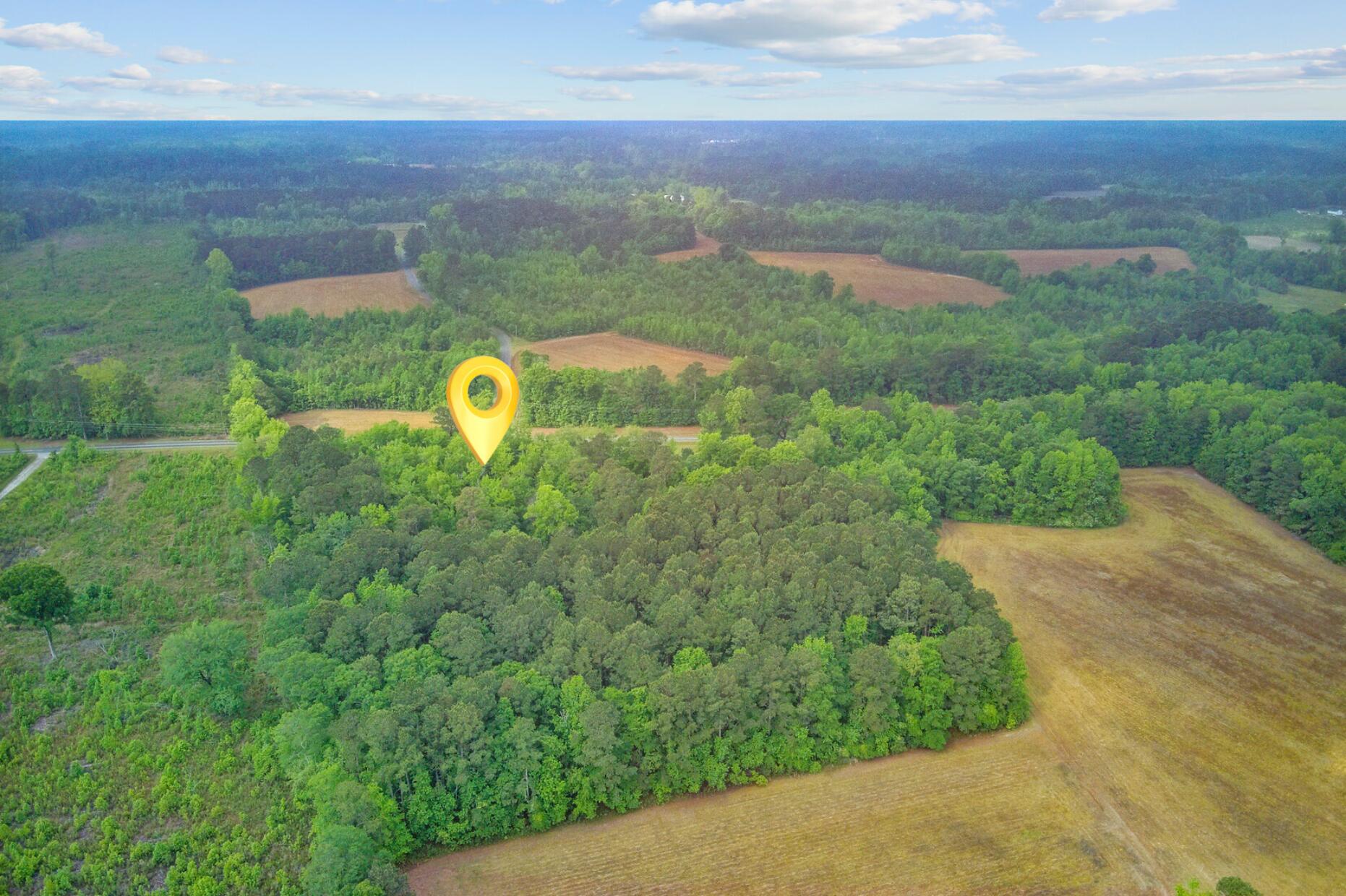 1050 Mt Zion Road St. George, SC 29477 - Photo 46 of 48 1050 Mt Zion Road Drone Edit