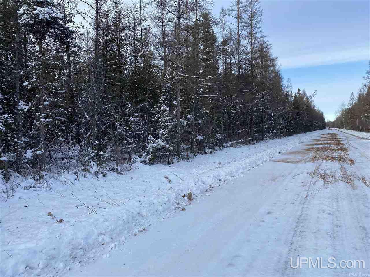 40-acres Vega Road Hermansville, MI 49847 - Photo 1 of 5
