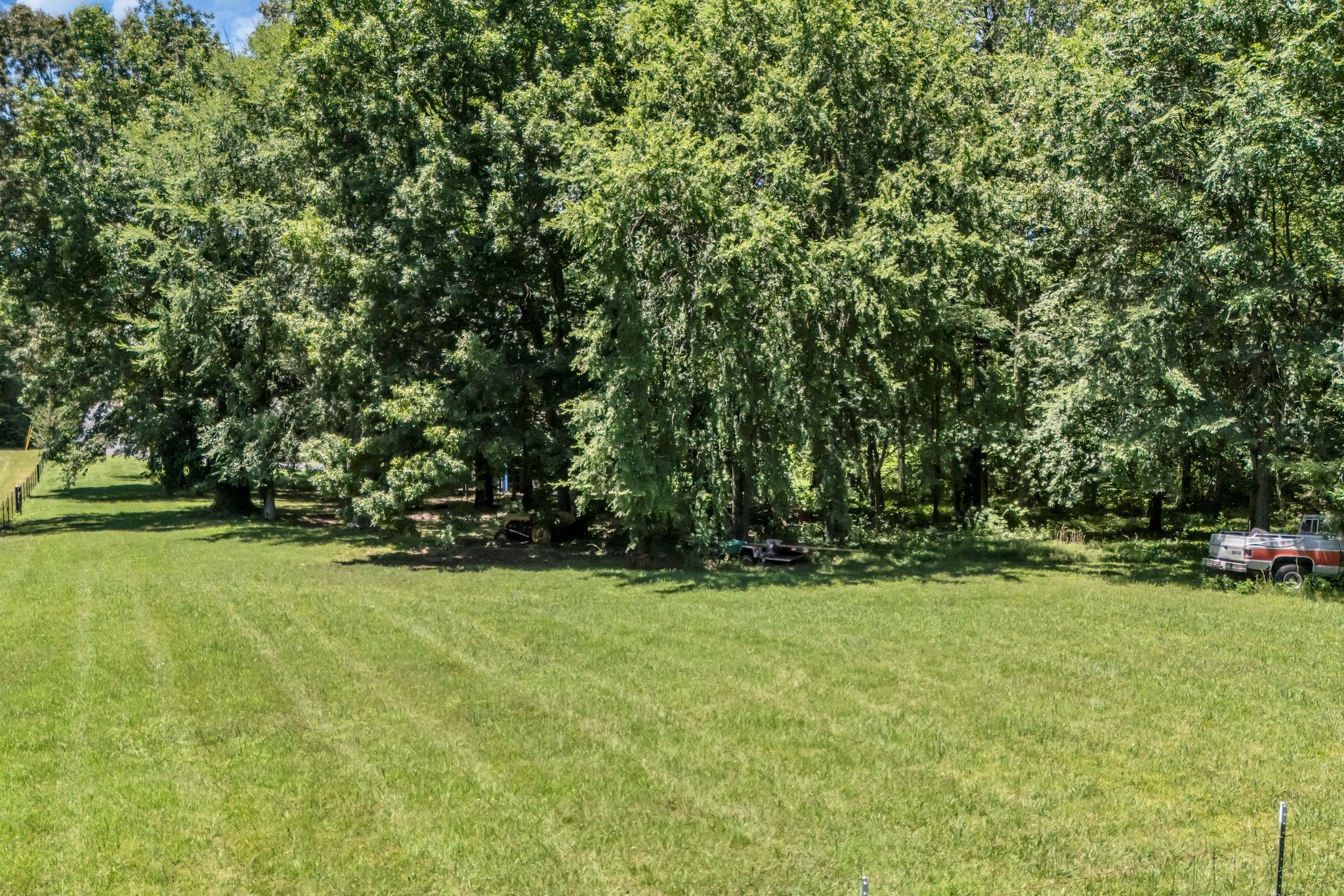 4111 Highway 49 Springfield, TN 37172 - Photo 42 of 46 a view of a field with trees in the background