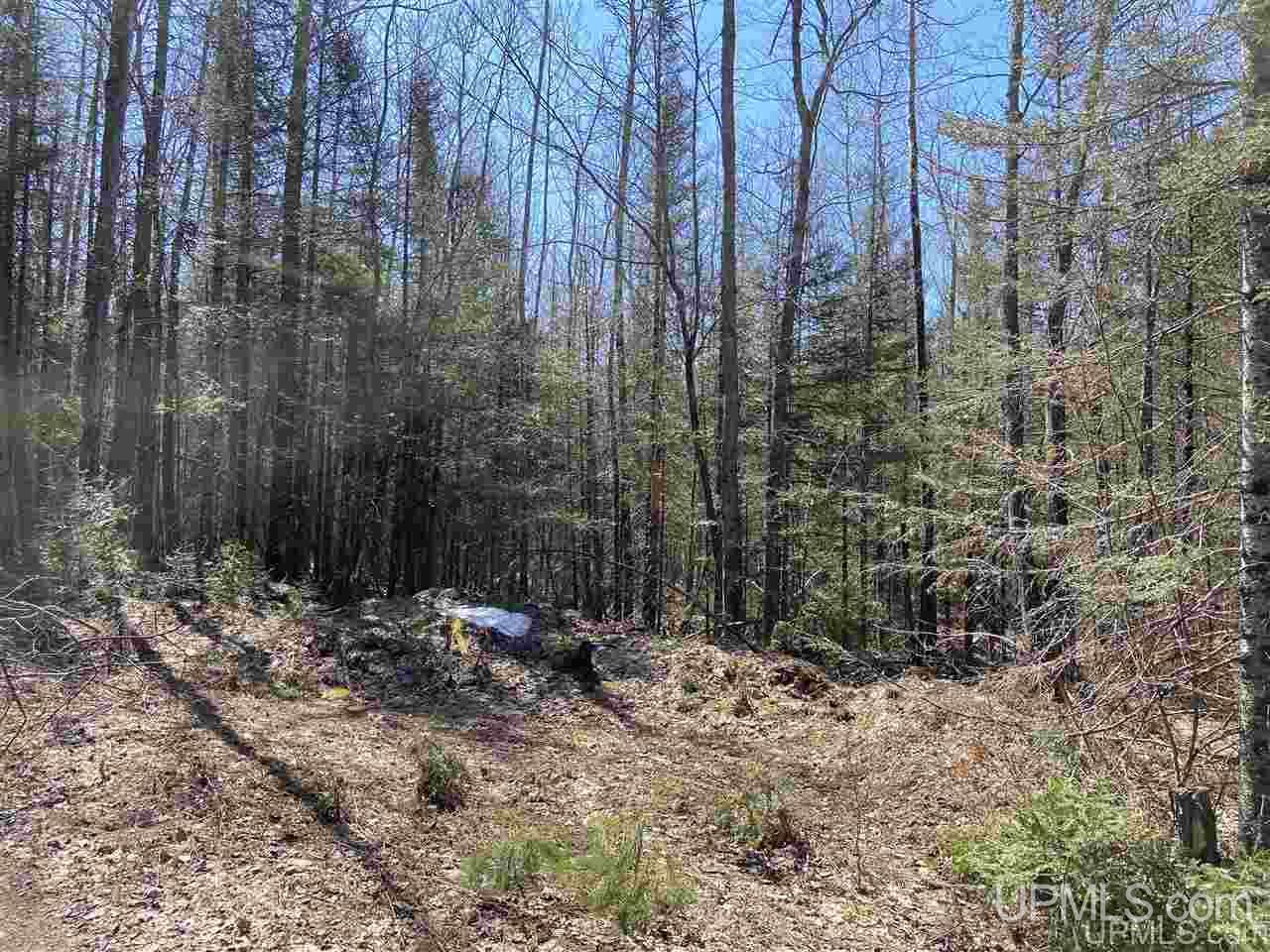 Tbd Tbd Off Powerline Gwinn, MI 49841 - Photo 10 of 28