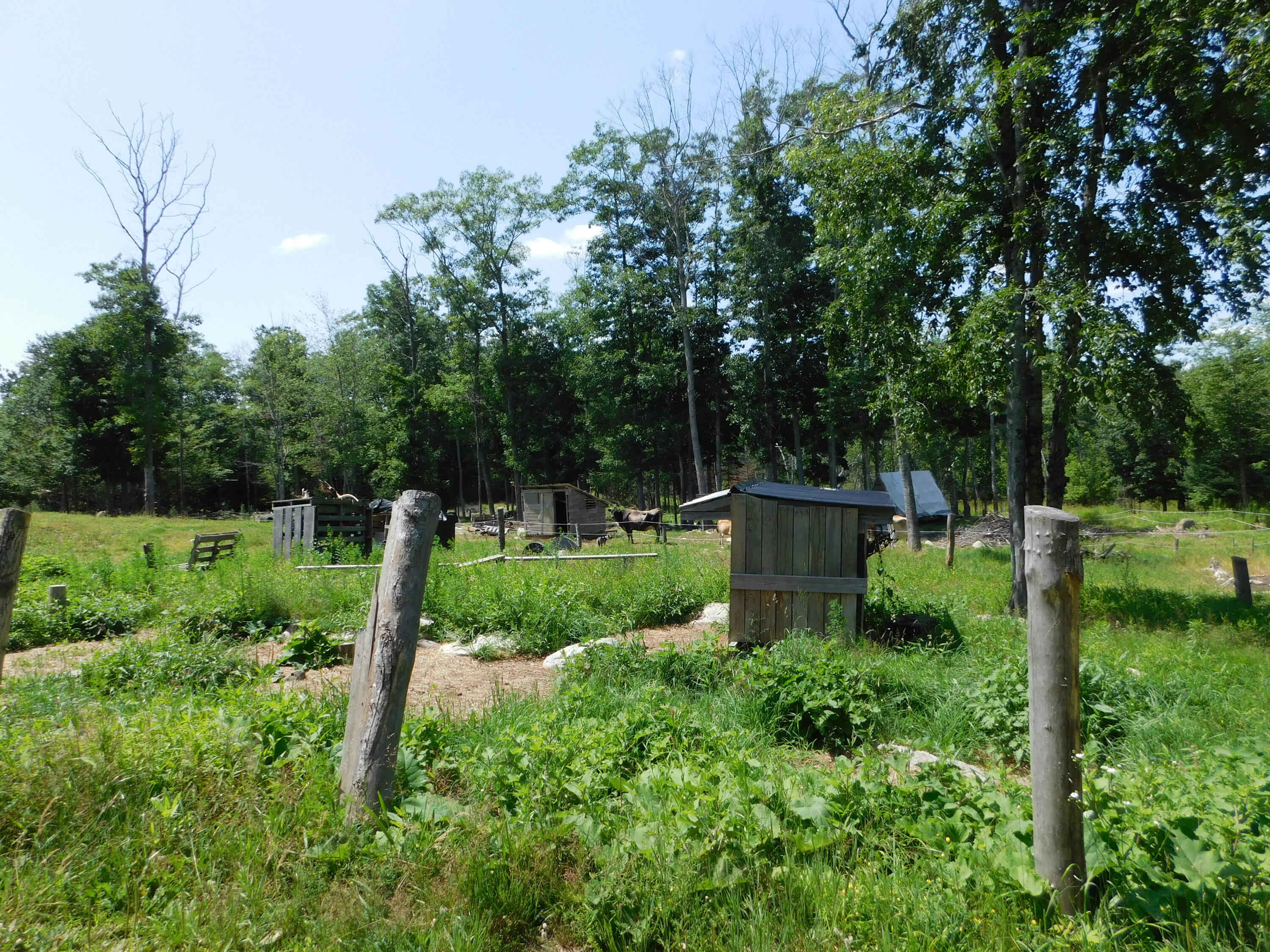 535 Betts Road Bucksport, ME 04416 - Photo 61 of 120 DSCN1334