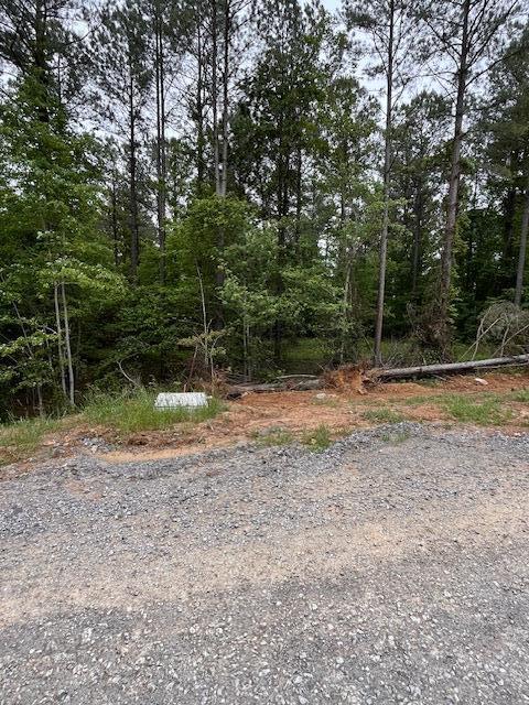 3715 Split Rail Way, Unit 1123 Guild, TN 37340 - Photo 24 of 41 IMG_9435