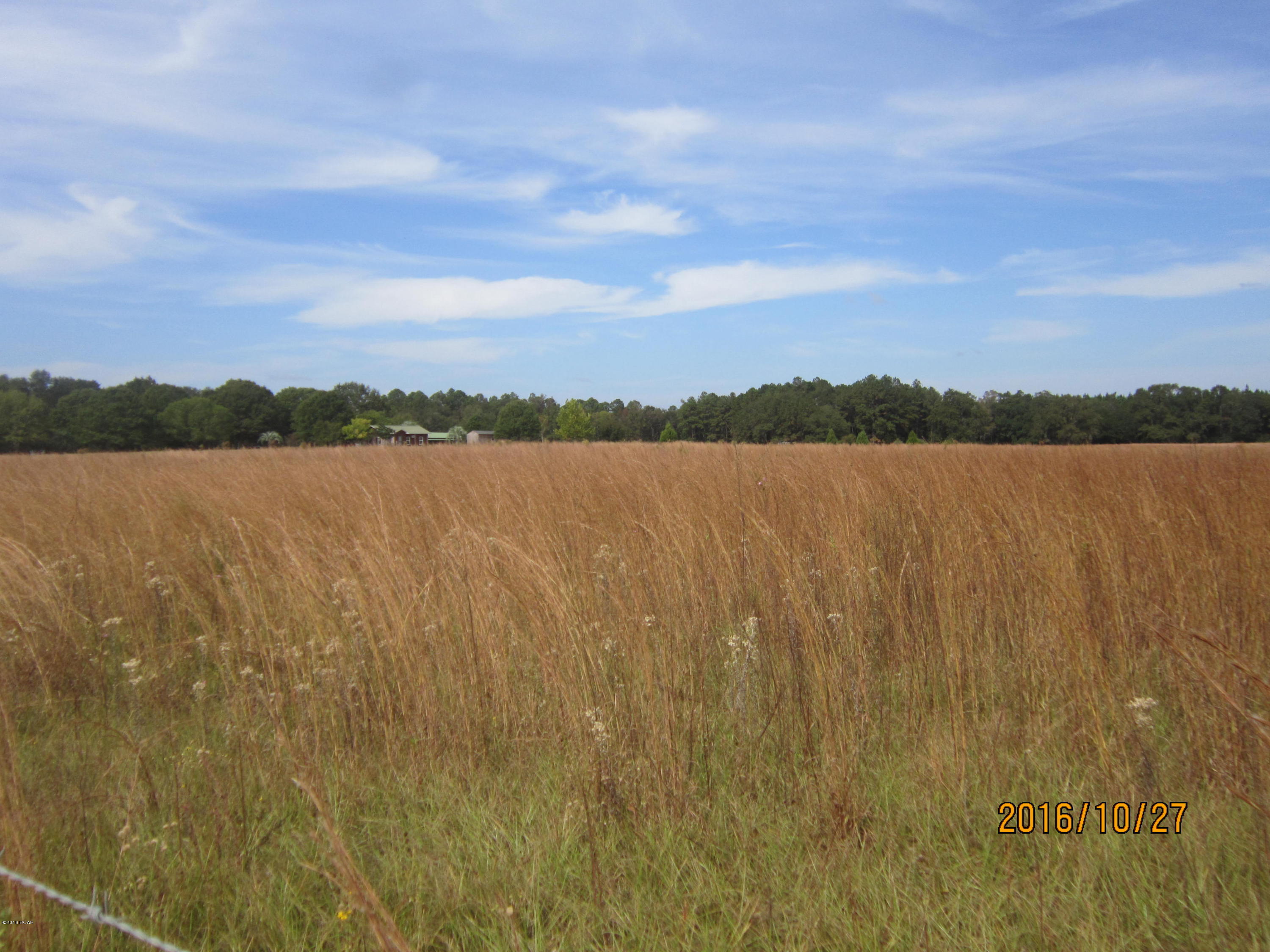 0 Cane Mill Road, Unit LOT 3 Chipley, FL 32428 - Photo 2 of 4