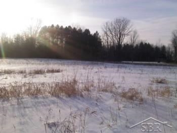 7845 North Gleaner Road Freeland, MI 48623 - Photo 15 of 16 31230648-14.JPG