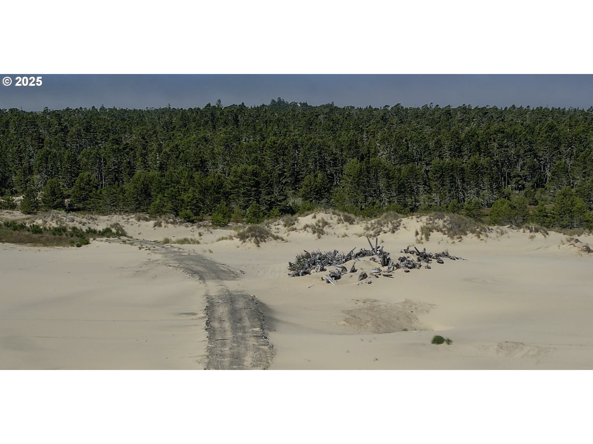 5262 Nopal Street Florence, OR 97439 - Photo 37 of 37