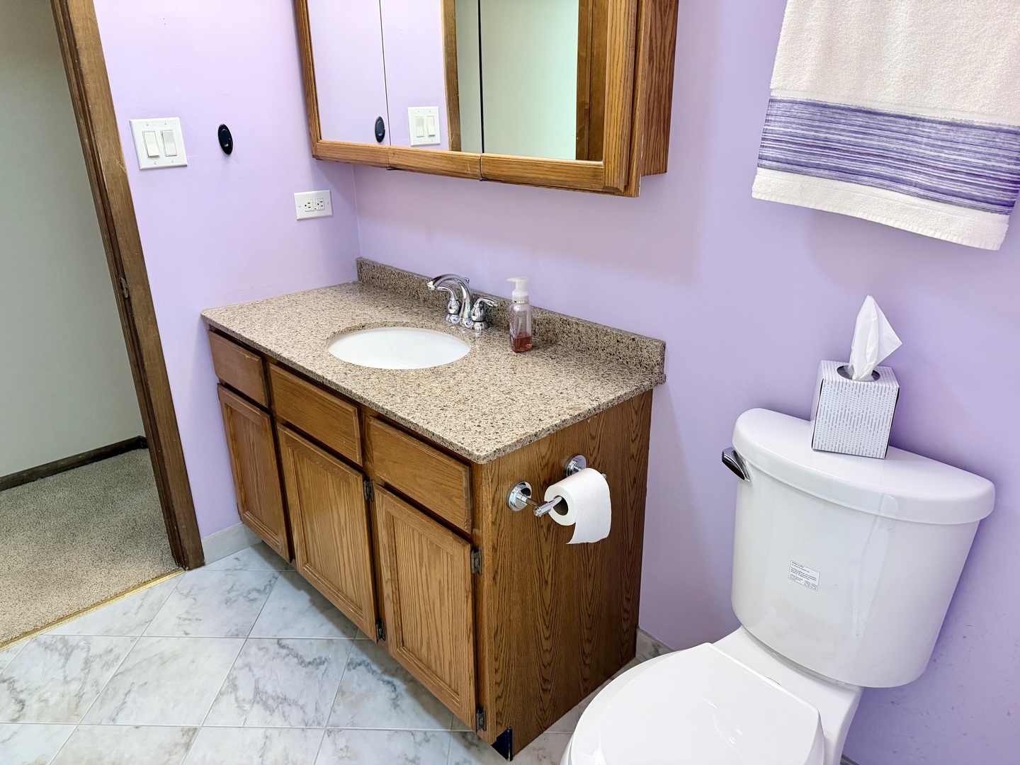 15813 Jon Road Oak Forest, IL 60452 - Photo 18 of 31 a bathroom with a sink toilet and mirror