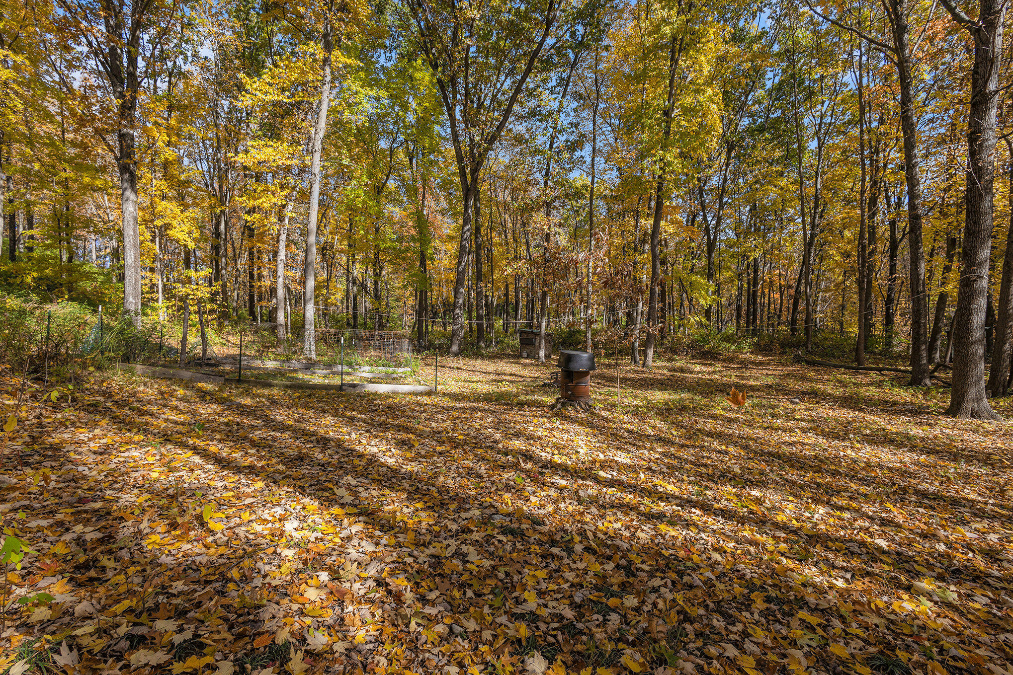 57689 Lone Tree Road Three Rivers, MI 49093 - Photo 37 of 45 Rear Yard View