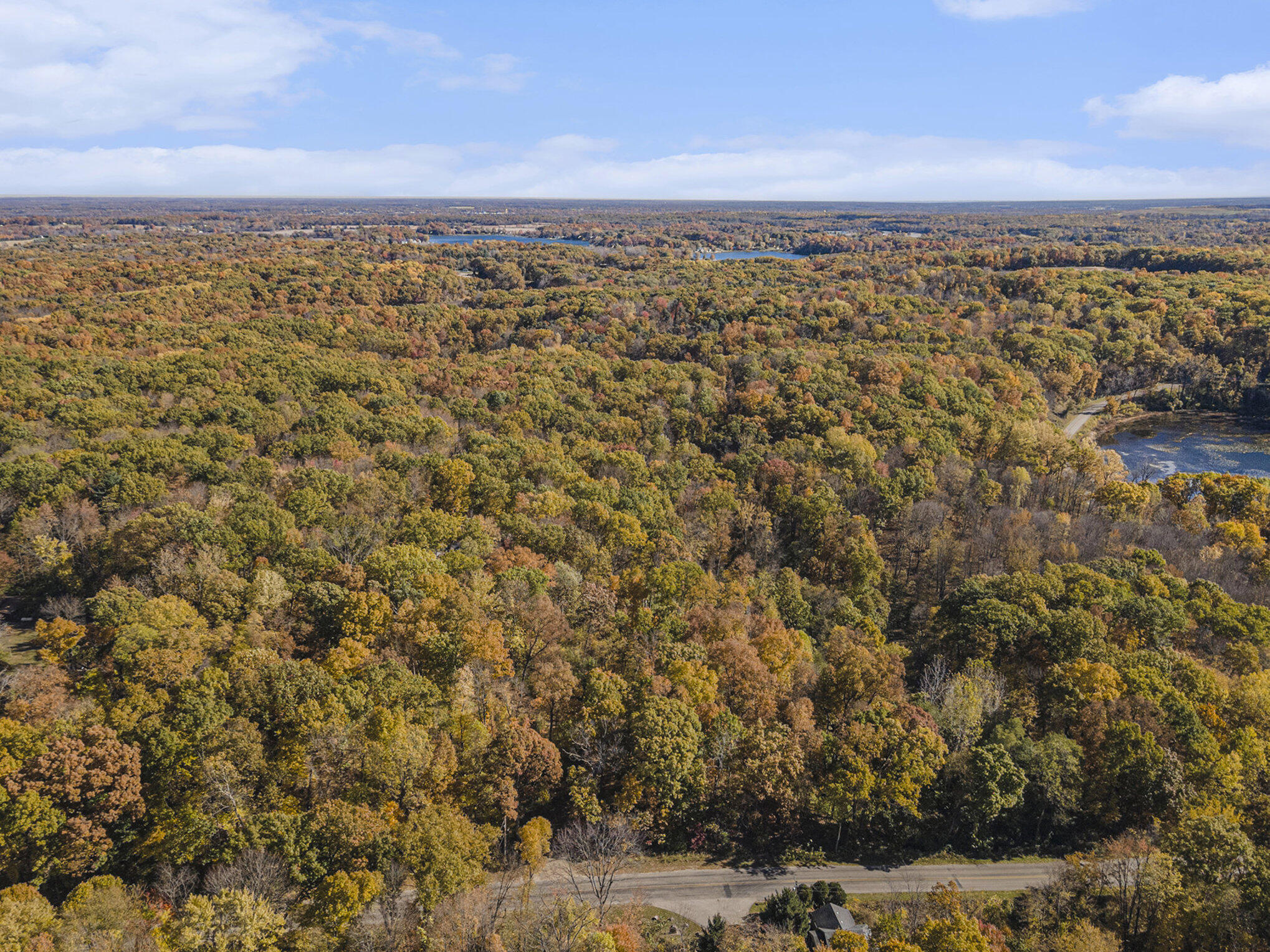 57689 Lone Tree Road Three Rivers, MI 49093 - Photo 42 of 45 Aerial Property Photo