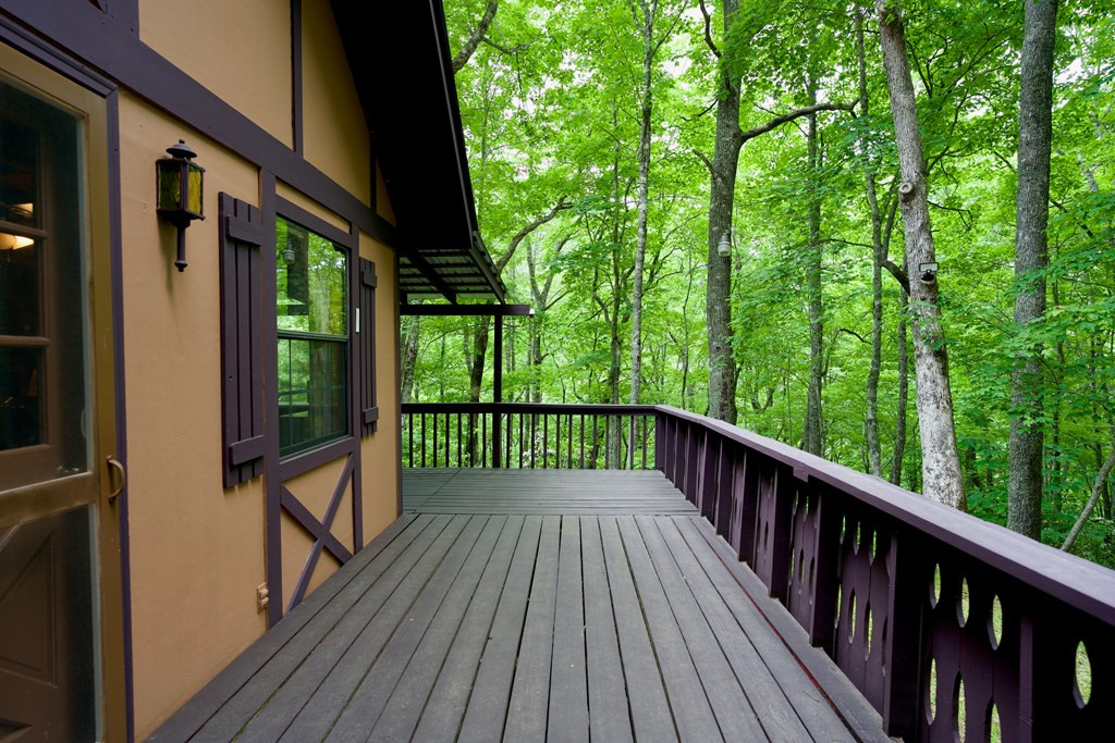 351 Mt Tabor Road Topton, NC 28781 - Photo 2 of 58