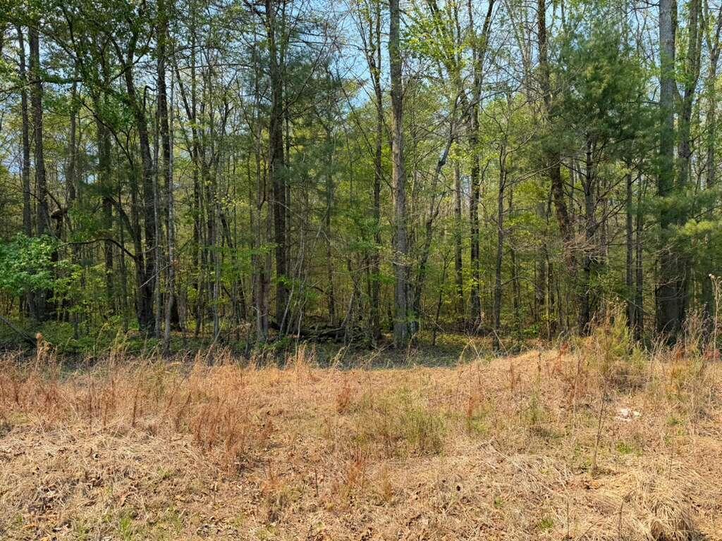 0 Ironsburg Road Tellico Plains, TN 37385 - Photo 2 of 5 3 Ironsburg