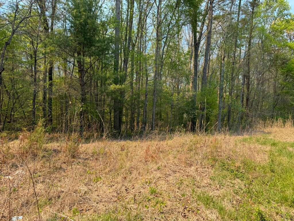 0 Ironsburg Road Tellico Plains, TN 37385 - Photo 4 of 5 1 Ironsburg