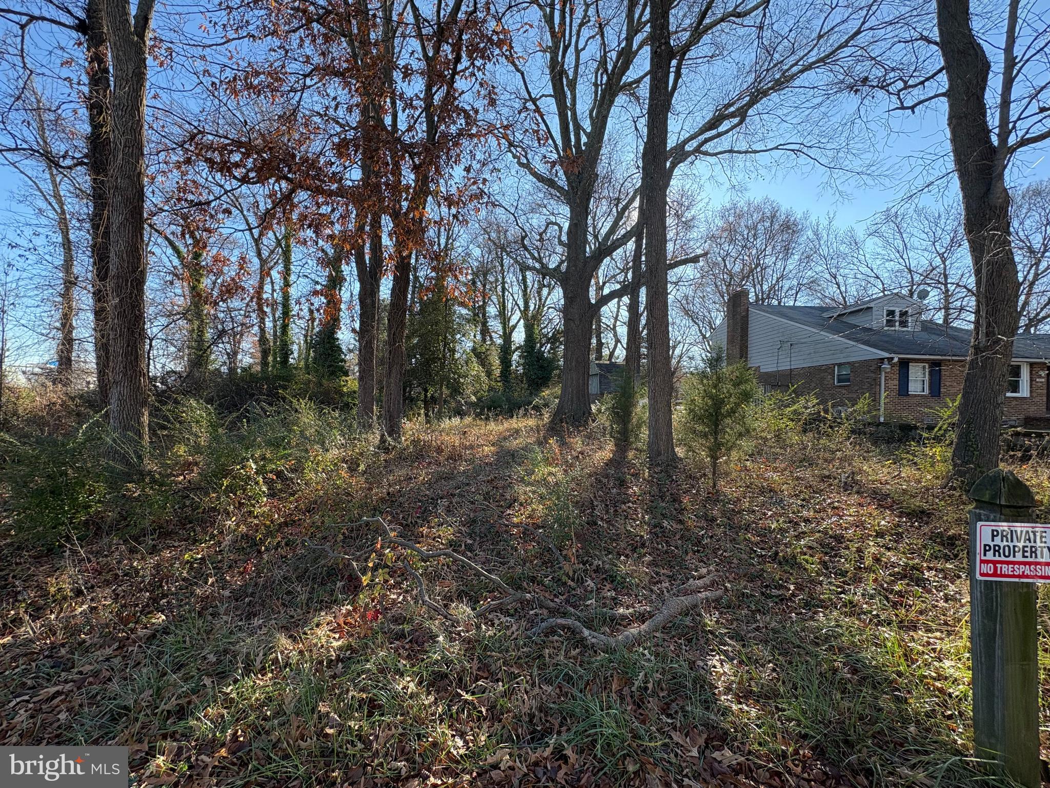Old Turkey Point Road Edgewater, MD 21037 - Photo 4 of 6 a view of a forest filled with trees