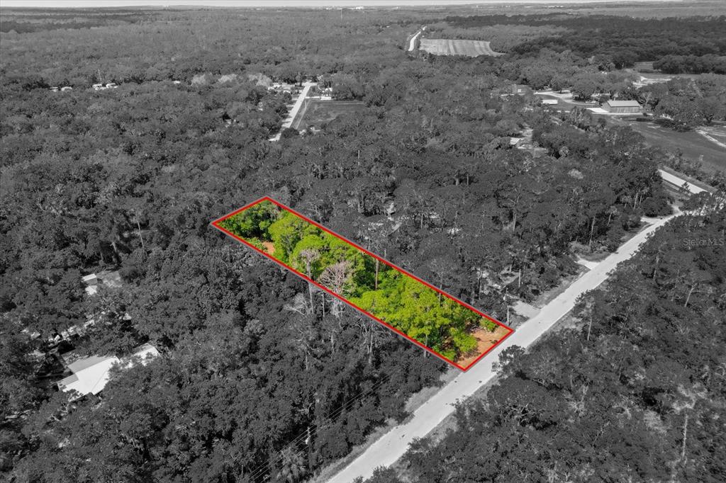 Mar Lisa Cove Road Lake Wales, FL 33898 - Photo 20 of 20
