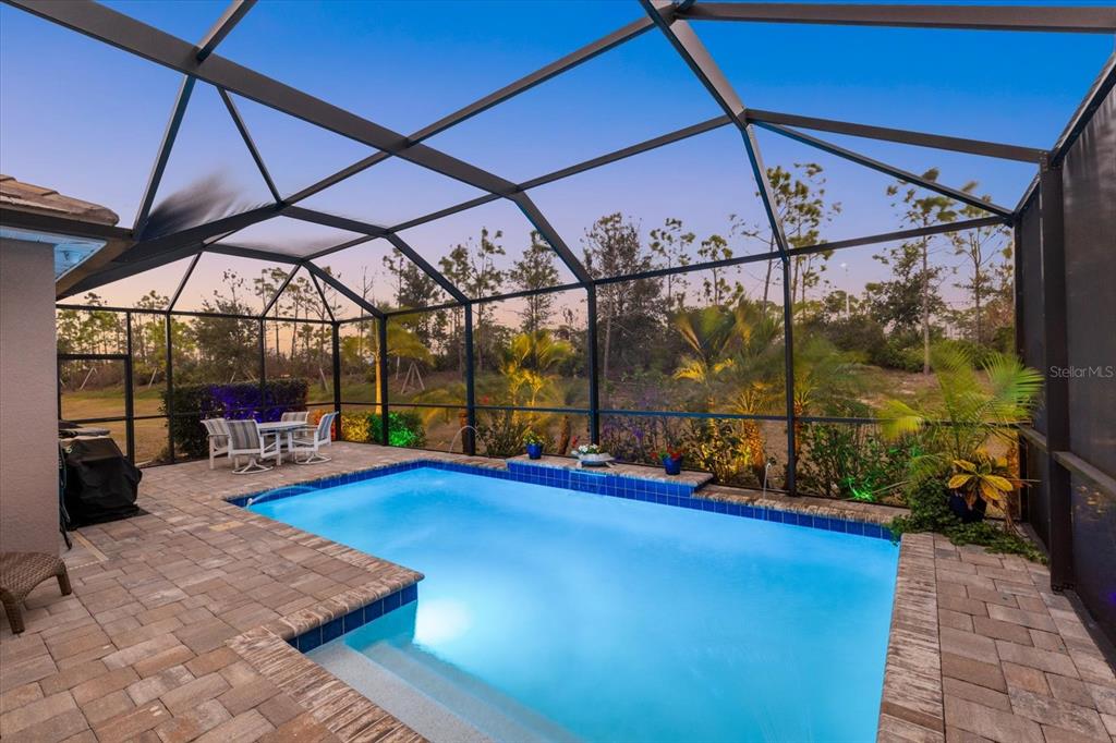13185 Steinhatchee Loop Venice, FL 34293 - Photo 4 of 50 a view of swimming pool with a patio