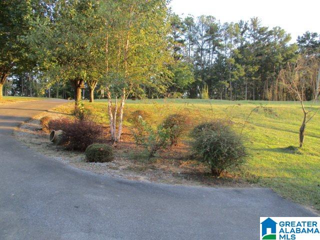 4153 Airport Road Altoona, AL 35952 - Photo 10 of 16
