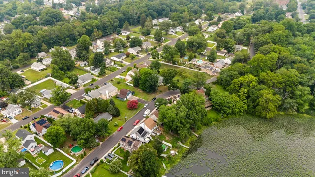 a view of a garden with plants