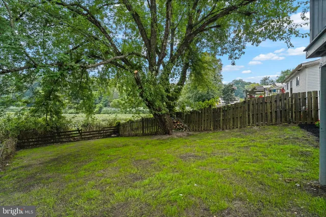 a view of a trees with a yard