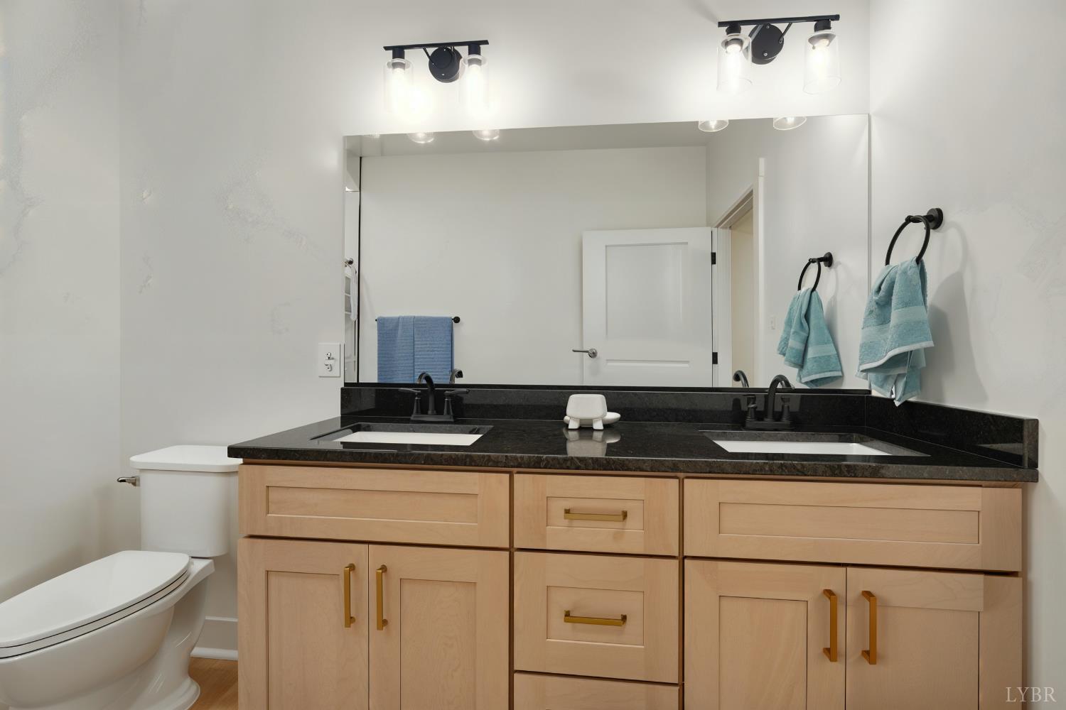 2 Little Creek Road Moneta, VA 24121 - Photo 22 of 31 a bathroom with a sink and a toilet