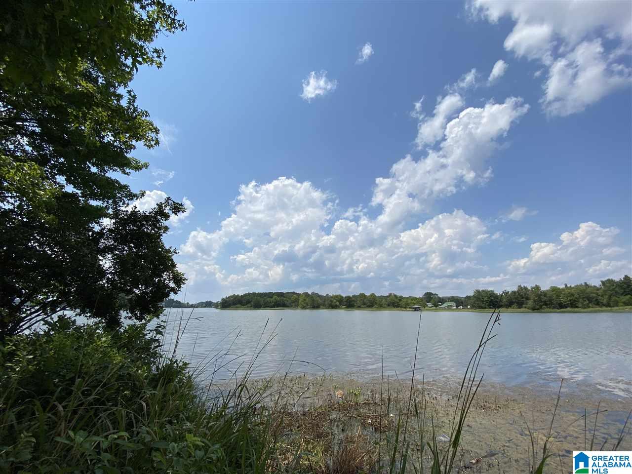 Lot 23 Cove Road, Unit 23 Sylacauga, AL 35151 - Photo 5 of 13