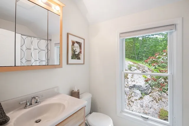a bathroom with a sink mirror and a toilet