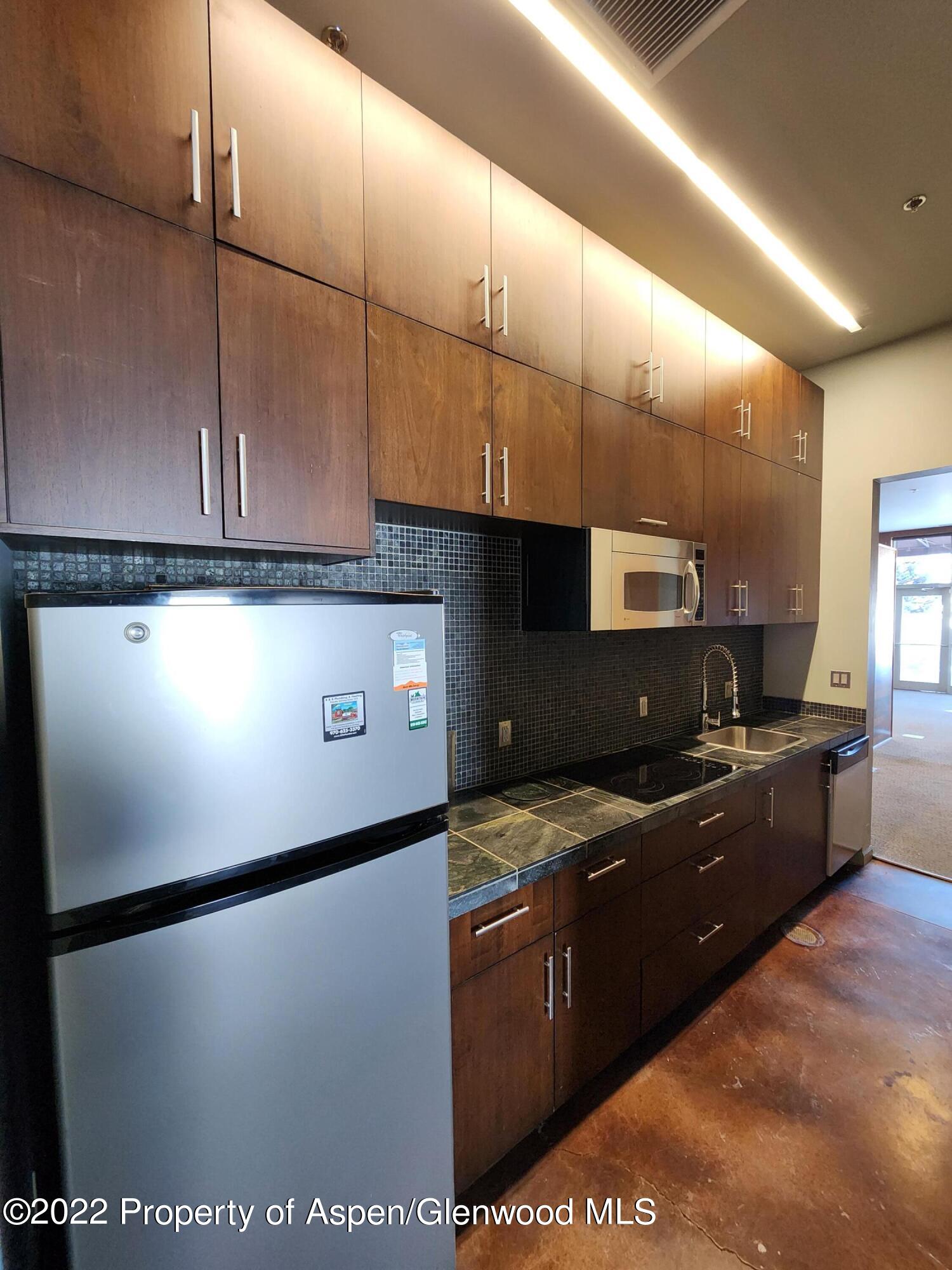 711 East Valley Road, Unit 103 Basalt, CO 81621 - Photo 9 of 15 20221216_105646
