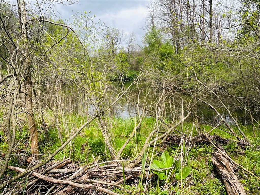 Auburn Road Newbury, OH 44065 - Photo 20 of 35