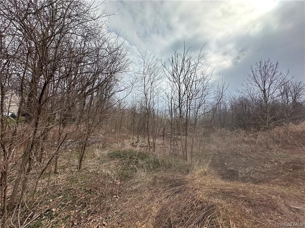 Lot 39 Roundhill Road Hopewell Junction, NY 12533 - Photo 2 of 2 a view of a yard with trees