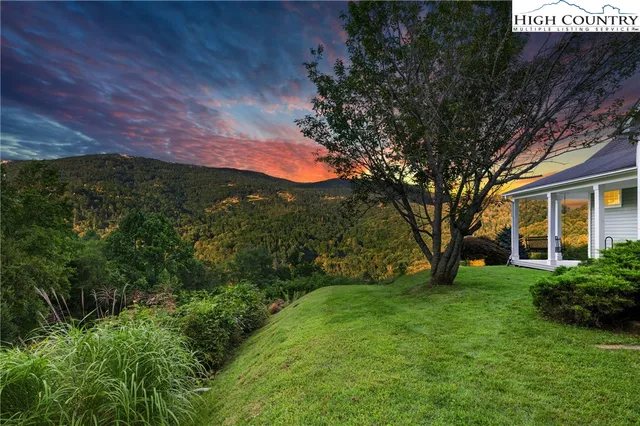 a view of a backyard with large trees