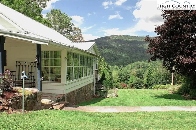 a view of a backyard with plants and large trees