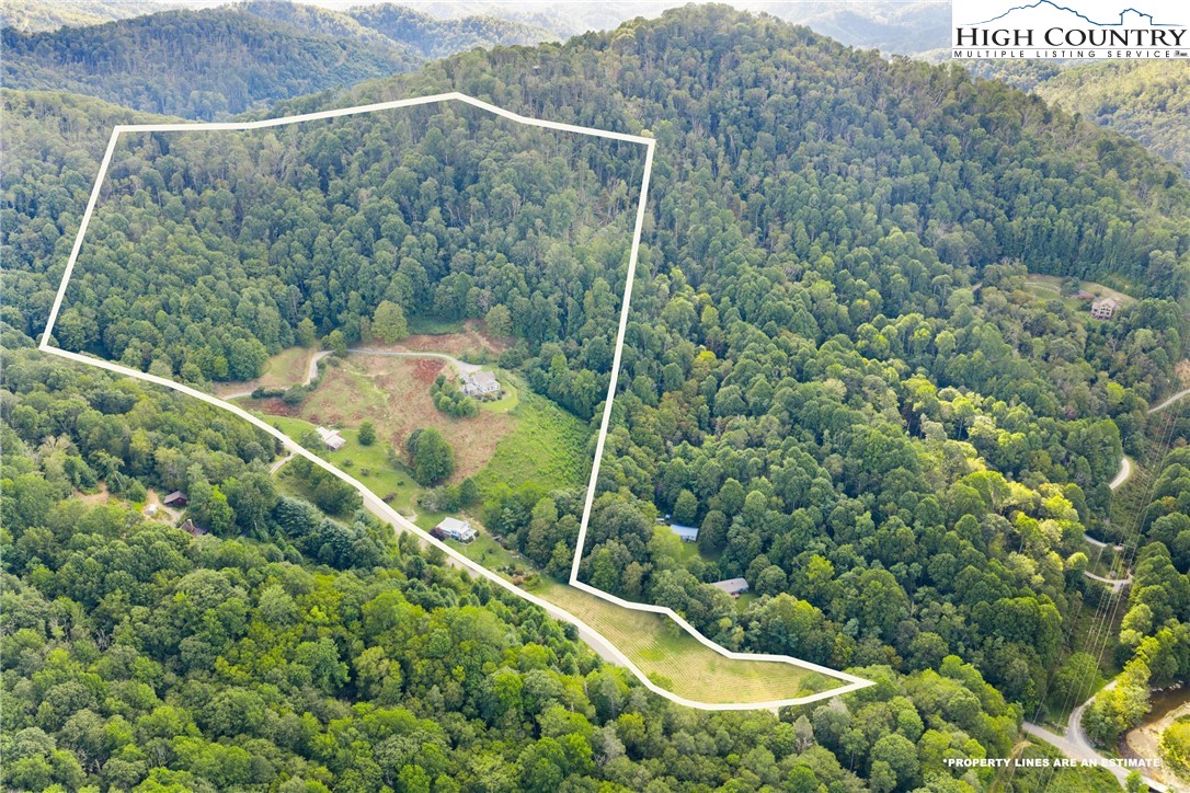 410-560 Puckett Road Banner Elk, NC 28604 - Photo 5 of 50 a view of a forest from a forest