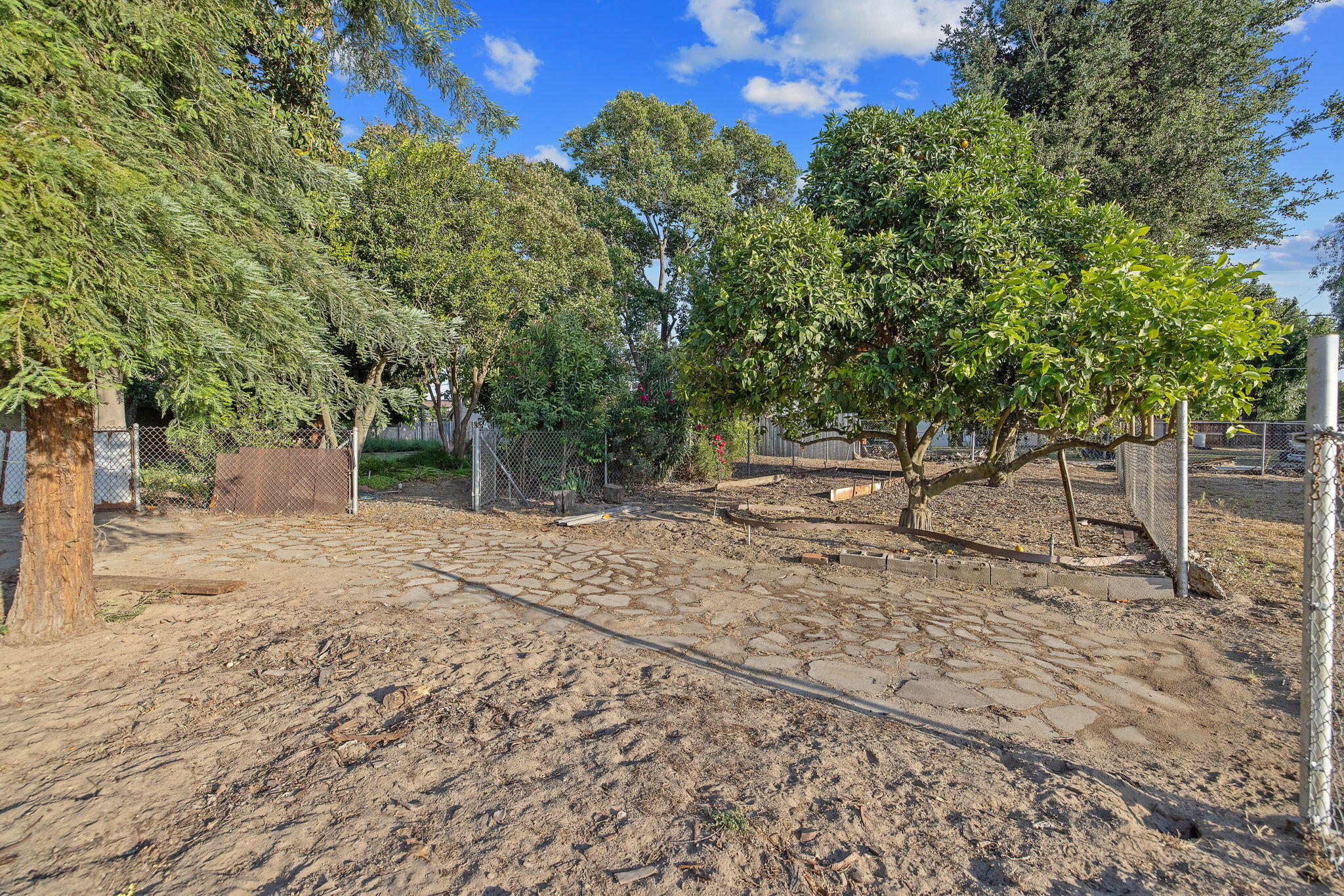 30955 Tower Road Visalia, CA 93292 - Photo 55 of 65 46-web-or-mls-713A5722