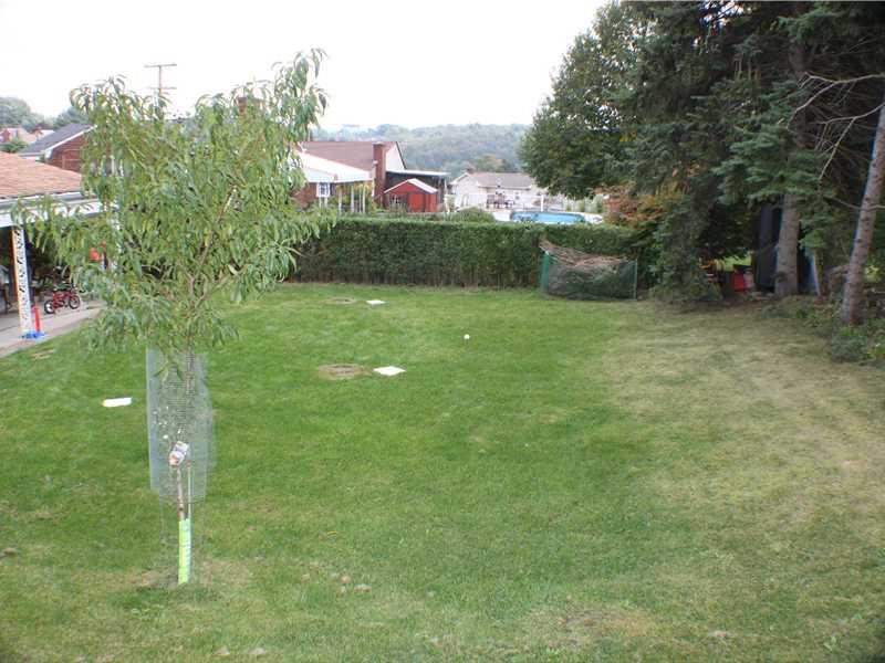 1010 Connor Road Mt. Lebanon, PA 15234 - Photo 19 of 24 Yard/Garden. The back yard is level. There is plenty of room for outdoor activities and gardening in a very private setting.