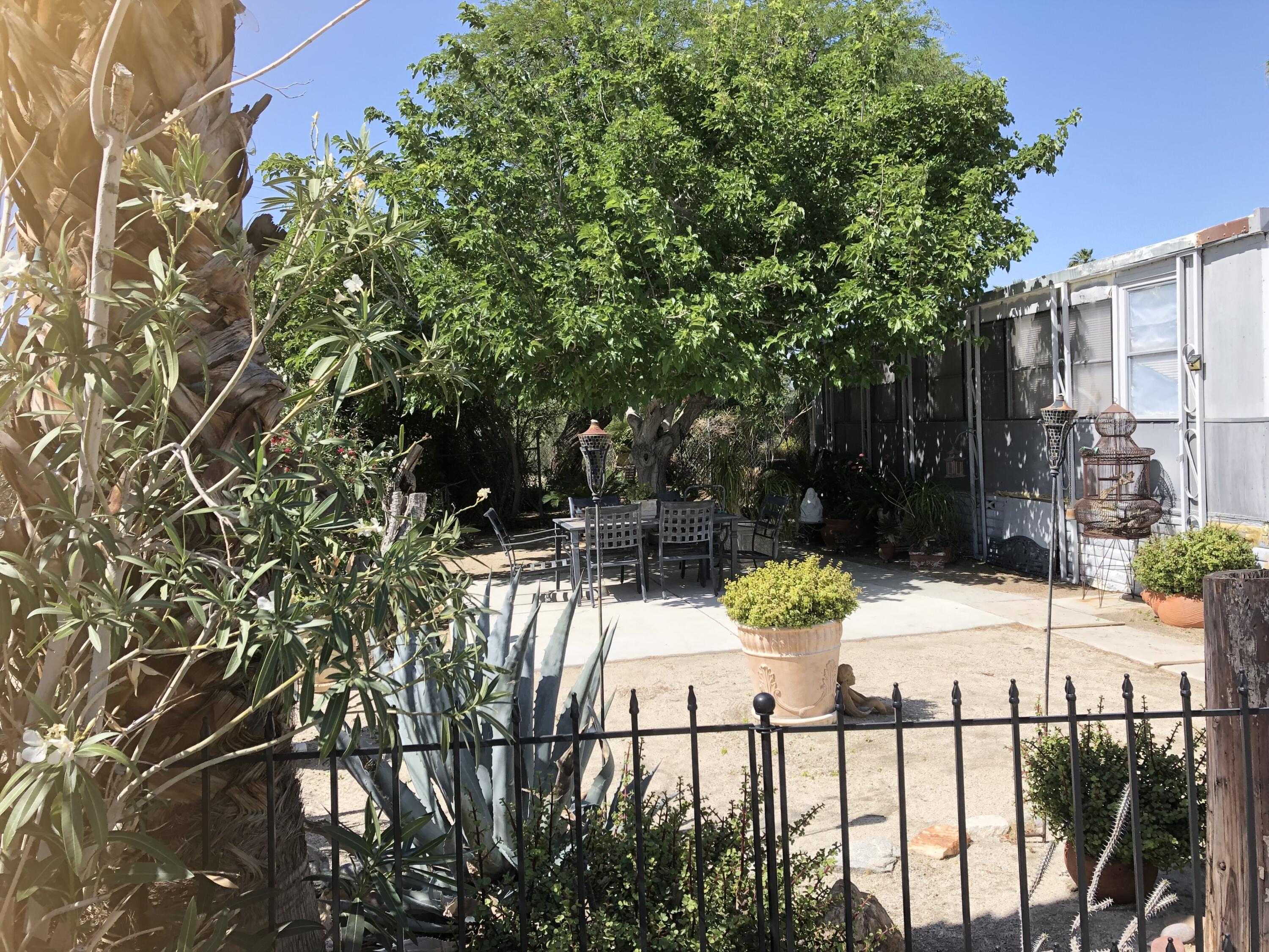 74711 Dillon Road Desert Hot Springs, CA 92241 - Photo 4 of 69 a view of outdoor space and yard