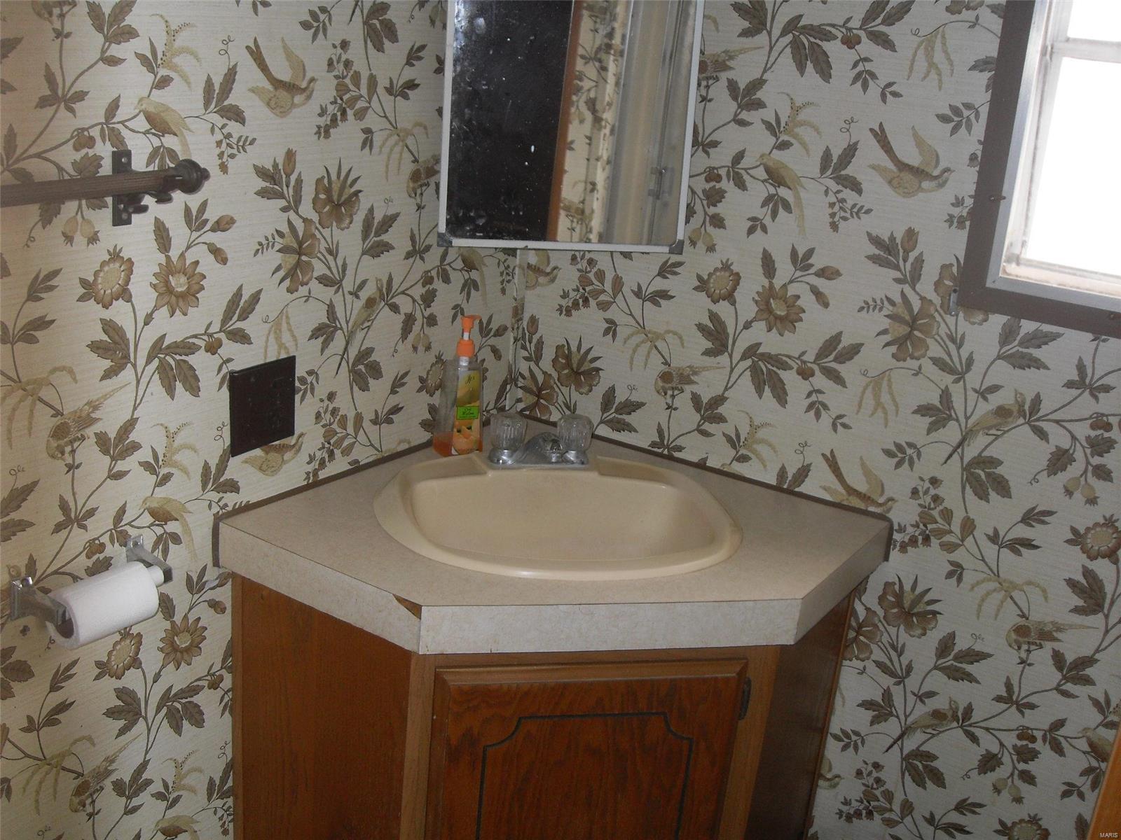 20928 Meadow View Road Highland, IL 62249 - Photo 9 of 24