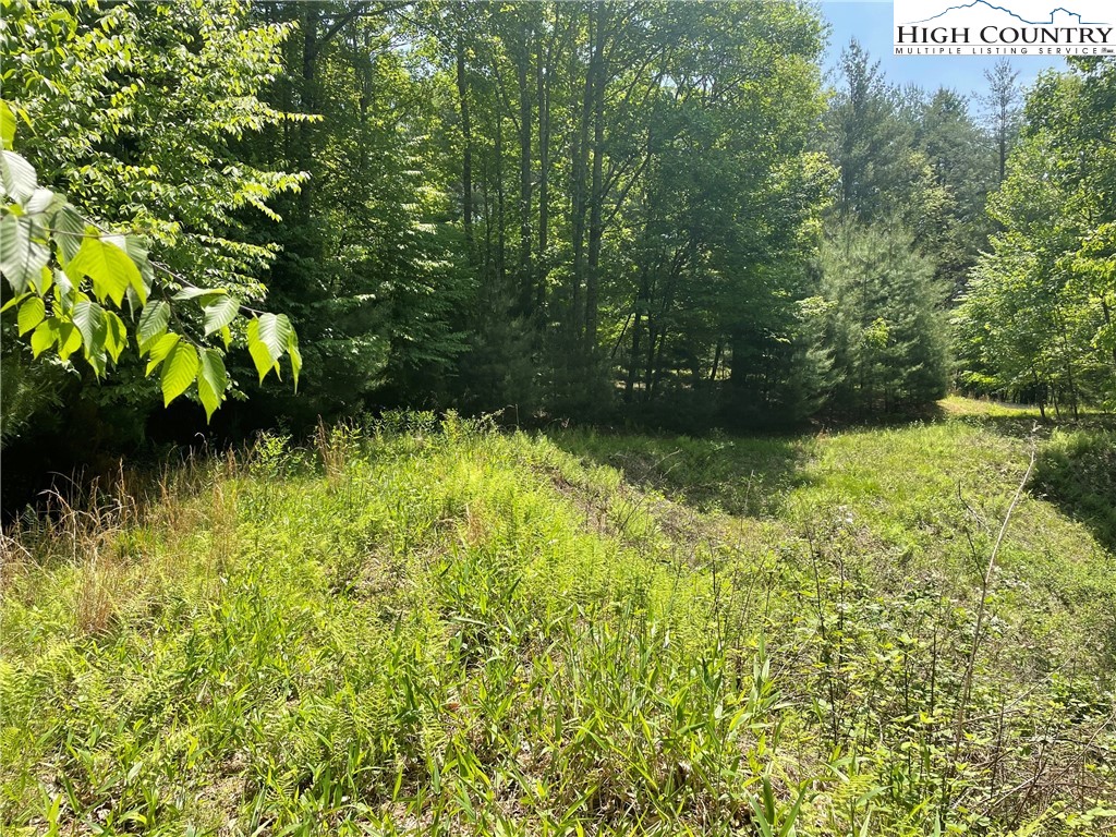 Lot 66 Daves Connector Road Jefferson, NC 28640 - Photo 4 of 20 Gallery Image 4