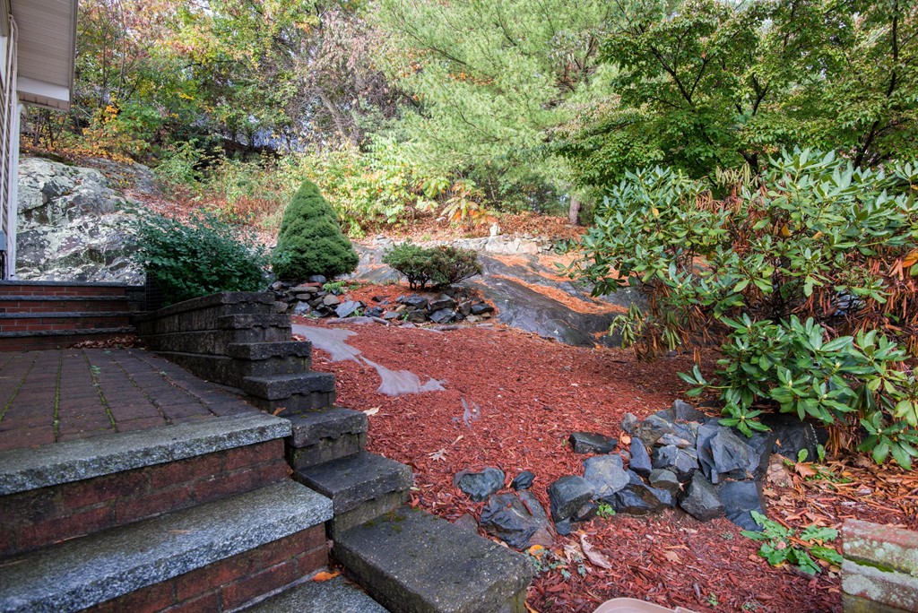 5 Fatima Road Stoneham, MA 02180 - Photo 19 of 20 a view of a backyard with large trees