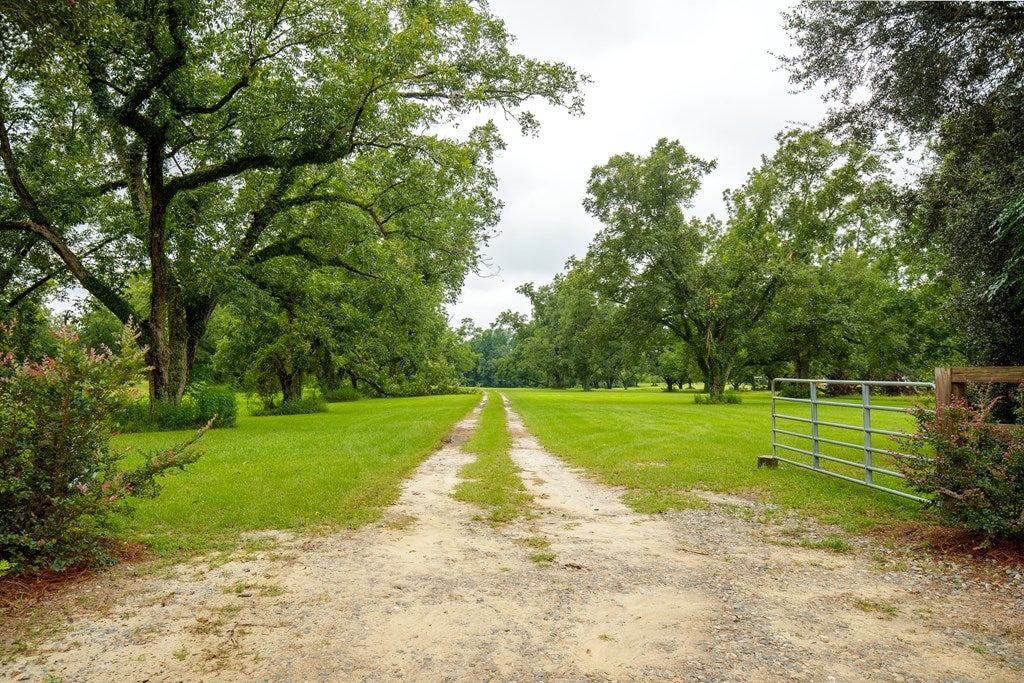 400 Nesbitt Road Pavo, GA 31778 - Photo 34 of 41 Gallery Image 34