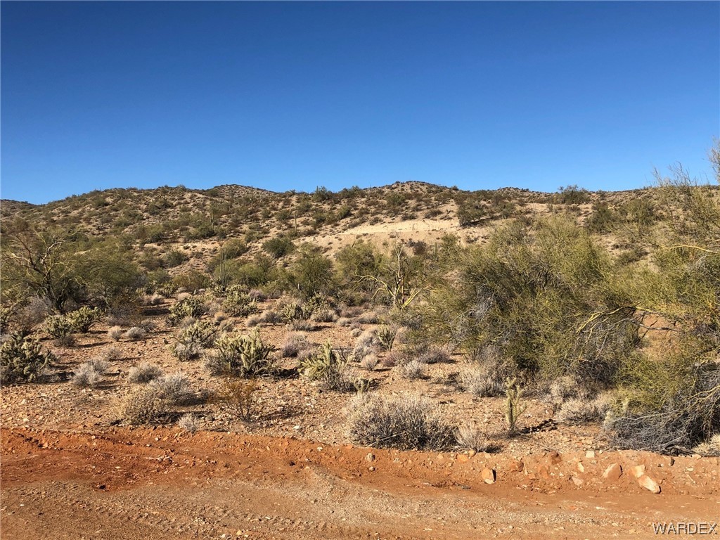 0 Banegas Ranch Road Wikieup, AZ 85360 - Photo 11 of 20