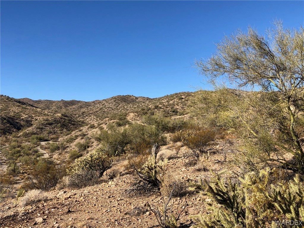 0 Banegas Ranch Road Wikieup, AZ 85360 - Photo 14 of 20