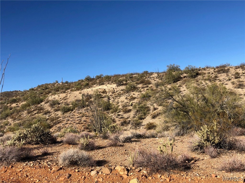 0 Banegas Ranch Road Wikieup, AZ 85360 - Photo 16 of 20