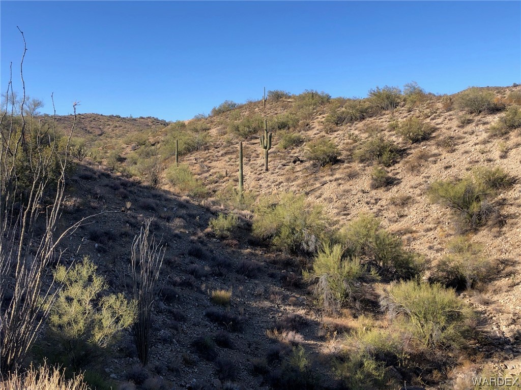 0 Banegas Ranch Road Wikieup, AZ 85360 - Photo 18 of 20