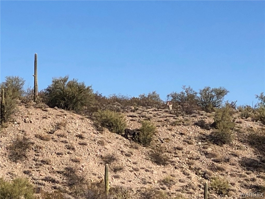 0 Banegas Ranch Road Wikieup, AZ 85360 - Photo 10 of 20